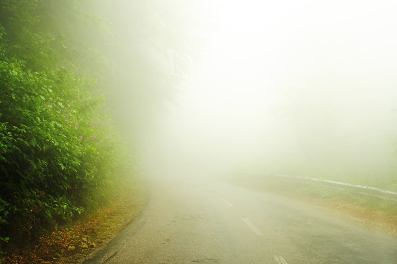 Väg i dimma