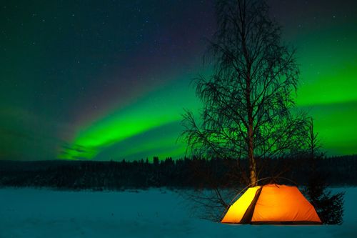 Norrsken över tält